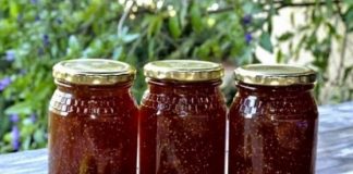 Tradicionalni narodni lijek za ASTMU, MALOKRVNOST, HOLESTEROL