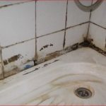 KAKO SE TRAJNO OSLOBODITI BUĐI IZ KUPATILA UZ JEFTINO SREDSTVO: Recept za uklanjanje svih mrlja sa zidova!