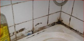 KAKO SE TRAJNO OSLOBODITI BUĐI IZ KUPATILA UZ JEFTINO SREDSTVO: Recept za uklanjanje svih mrlja sa zidova!