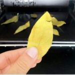 Stavite običan lovorov list u rernu i uključite na 20 minuta:OVO je efekat i svi to treba da znati