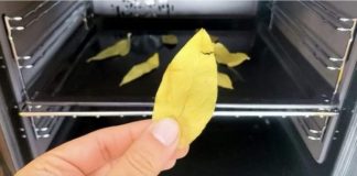 Stavite običan lovorov list u rernu i uključite na 20 minuta:OVO je efekat i svi to treba da znati