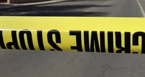 TINEJDZERKA (13) NASMRT IZBOLA SESTRU (7) Neizmenicno je ubadala sa dva noza: Po dolasku policije NIJE POKAZIVALA EMOCIJE