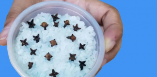 Kupatilo moje svekrve uvek lepo miriše, samo otvori vrata: 0V0 JE NJENA TAJNA!