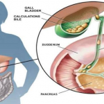 61136556_2234420723316391_6979127800787632128_n