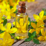Kantarionovo ulje uvijek imajte u kući, jer jedna bočica liječi 10 bolesti