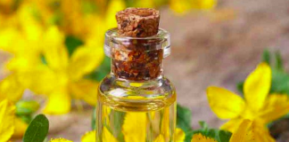 Kantarionovo ulje uvijek imajte u kući, jer jedna bočica liječi 10 bolesti