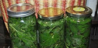 Imala je stalno NISKO ŽELJEZO, a onda je otkrila OVAJ recept: Kada je izvadila NALAZE…