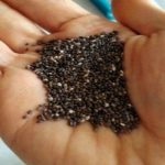 NEMA DIJETA, JEDINO ŠTO VAM TREBA JE OVA NAMIRNICA: Topi kilograme, čuva srce, ljekari je smatraju ČUDESNOM!