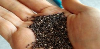 NEMA DIJETA, JEDINO ŠTO VAM TREBA JE OVA NAMIRNICA: Topi kilograme, čuva srce, ljekari je smatraju ČUDESNOM!