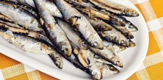 Najzdravija Riba za Vaše Srce, Holesterol i Memoriju: Koje Vrste Treba Uključiti u Ishranu