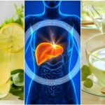 Kako prirodno izliječiti masnu jetru? Otkrivamo 5 jednostavnih napitaka koji pomažu!