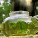 Čaj od Bosiljka: Prirodni Lijek za Disajne Puteve i Jačanje Imuniteta