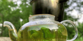 Čaj od Bosiljka: Prirodni Lijek za Disajne Puteve i Jačanje Imuniteta
