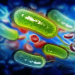 Prirodni Saveznik u Borbi Protiv Heliko Bakterije i Karcinoma Želuca