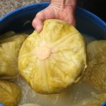 Ukiselili ste kupus, a NISTE DODALI OVU VOĆKU: Brzo u kacu ubacite samo 2 KRIŠKE – Bit ćete nam zahvalni (RECEPT)