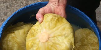 Ukiselili ste kupus, a NISTE DODALI OVU VOĆKU: Brzo u kacu ubacite samo 2 KRIŠKE – Bit ćete nam zahvalni (RECEPT)