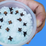 Kupatilo moje svekrve uvek lepo miriše, samo otvori vrata: OVO JE NJENA TAJNA!