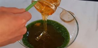 Ljekoviti Med od Čuvarkuće: Kako ga Napraviti i Koristiti