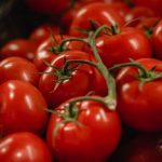 paul-steuber-iwYhJr6yvDw-unsplash-910×576