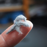 0V0 JE JEDAN 0D NAJPRLJAVIJIH PREDMETA U NAŠIM KUĆAMA, A TREBA DA BLISTA OD ČISTOĆE: Kad čujete šta je u pitanju, ZGROZIĆETE SE