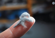 0V0 JE JEDAN 0D NAJPRLJAVIJIH PREDMETA U NAŠIM KUĆAMA, A TREBA DA BLISTA OD ČISTOĆE: Kad čujete šta je u pitanju, ZGROZIĆETE SE