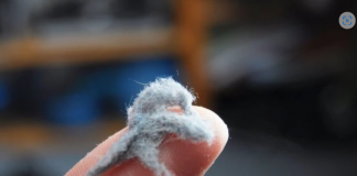 0V0 JE JEDAN 0D NAJPRLJAVIJIH PREDMETA U NAŠIM KUĆAMA, A TREBA DA BLISTA OD ČISTOĆE: Kad čujete šta je u pitanju, ZGROZIĆETE SE