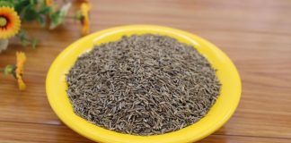 Božja biljka, jedina zapisana u Bibliji i Kur’anu: ‘Liječi sve bolesti osim smrti’