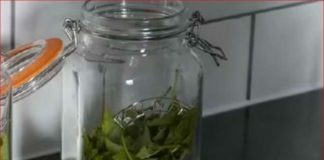 ČAJ OD OVE BILJKE SE PIJE PRED SPAVANJE: Uspavaće vas kao malu bebu i obrisati nervozu u sekundi – morate probati