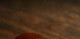 Mala poslastica pretvorila se u noćnu moru: što sam pronašla u slatkišu koji sam htjela dati svom djetetu Mala poslastica pretvorila se u noćnu moru: što sam pronašla u slatkišu koji sam htjela dati svom djetetu - featured image