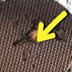 Kupila je u samposluzi slatkiš koji vole mnogi u Srbiji, ali joj je preseo: Kad ga je otvorila ŠOK!!! Kupila je u samposluzi slatkiš koji vole mnogi u Srbiji, ali joj je preseo: Kad ga je otvorila ŠOK!!! - featured image