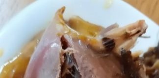 KUPILA PILE U PRODAVNICI, A KAD GA JE RAZREZALA NIJE MOGLA SEBI DOĆI: ŠTA JE OVO? KUPILA PILE U PRODAVNICI, A KAD GA JE RAZREZALA NIJE MOGLA SEBI DOĆI: ŠTA JE OVO? - featured image