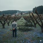 Komšija mu je iz zavisti posekao ceo voćnjak tokom noći: Ujutru je na svom pragu zatekao gajbu punu voća i poruku koja ga je postidela do suza. Komšija mu je iz zavisti posekao ceo voćnjak tokom noći: Ujutru je na svom pragu zatekao gajbu punu voća i poruku koja ga je postidela do suza. - featured image