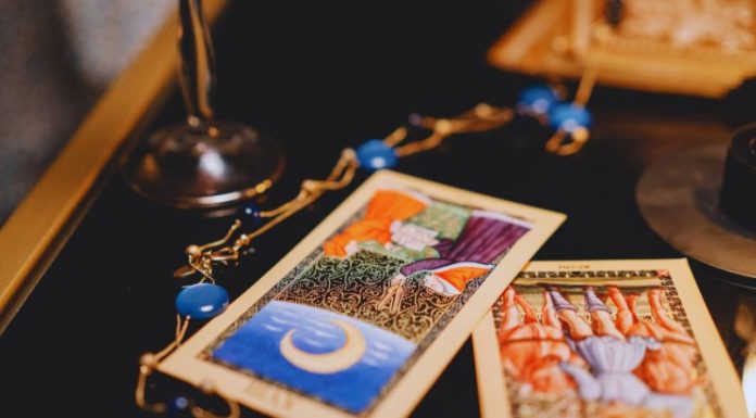 RIBE:Sutra će biti najlepši dan u vašem životu, evo i zašto!