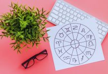 ŠKORPIJA-NIKO NIJE ČINIO DOBRA DELA KAO VI:Sada će vam se dobrim vratiti!