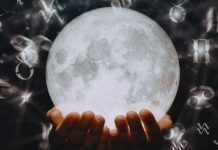 RAK SUTRA: U samo jednom trenutku ti se menja sudbina, i nema više povratka!