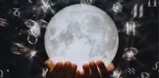 RAK MORA DA ODLUČI: PROŠLOST se VRAĆA jača nego ikad!