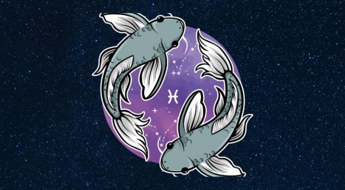 RIBE – HOROSKOP DO 15. APRILA: SUDBINSKI PERIOD, PROMENE KOJE SU SUĐENE, evo šta vas sve ostavlja bez teksta!